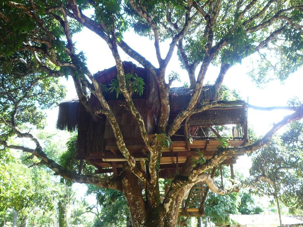 Hotel Art Jungle Itacaré Exteriér fotografie