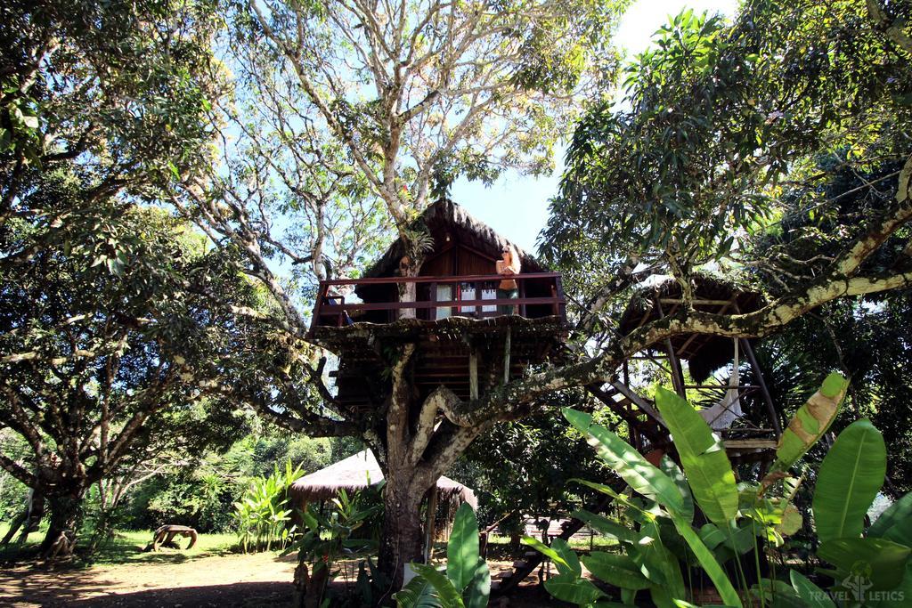 Hotel Art Jungle Itacaré Exteriér fotografie