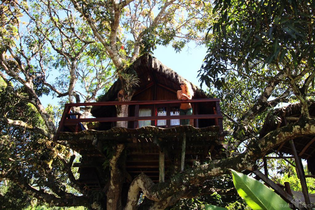 Hotel Art Jungle Itacaré Exteriér fotografie
