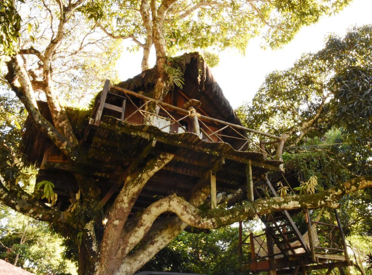 Hotel Art Jungle Itacaré Exteriér fotografie