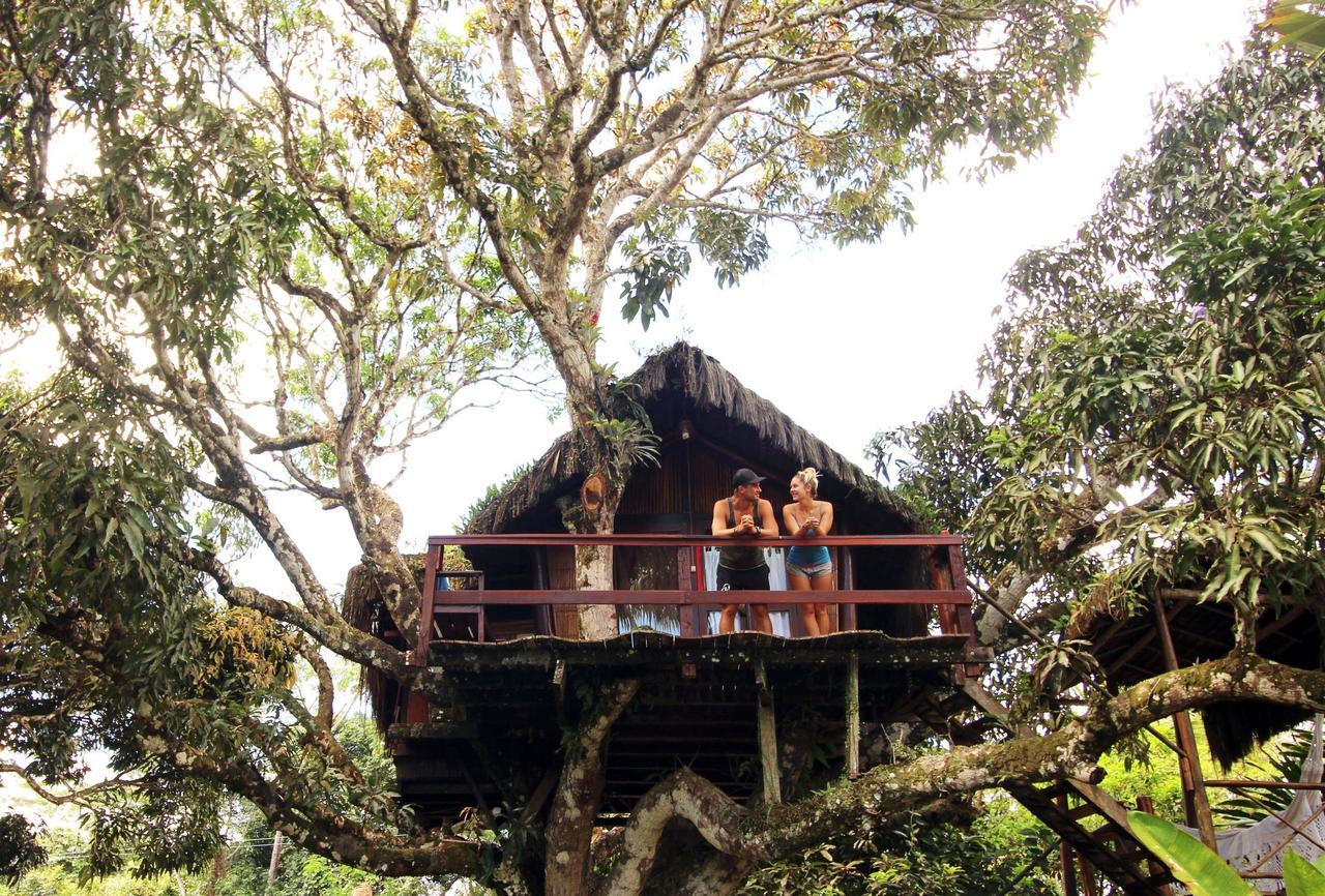 Hotel Art Jungle Itacaré Exteriér fotografie