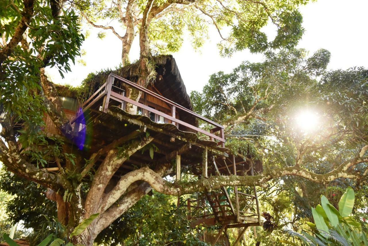 Hotel Art Jungle Itacaré Exteriér fotografie
